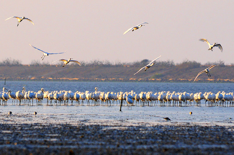 ecotourism-image-06 ecotourism-image-06